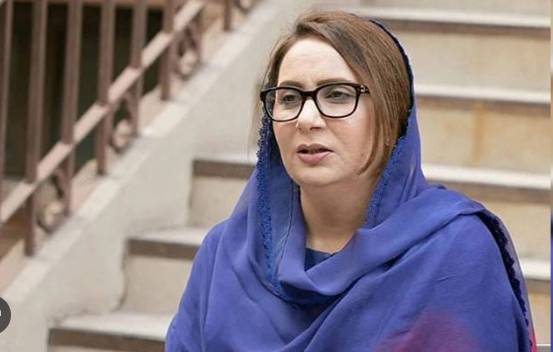 Ppp and pml n nexus responsible for country s woes musarrat cheema